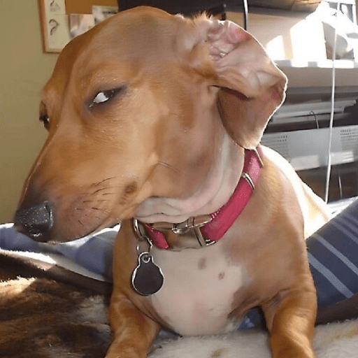 TikTok, my honest reaction  25