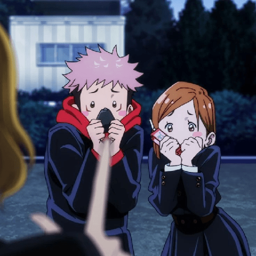 Jujutsu kaisen 13