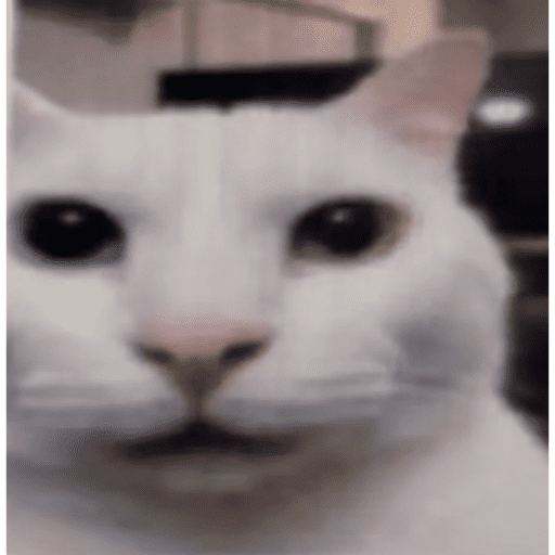 Aaaa 17