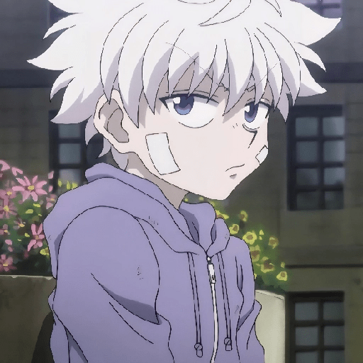 🤍✨️KILLUA ZOLDYCK MOOD✨️🤍 27