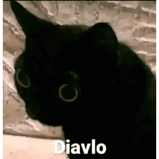 Animales Mensos 2.0 8