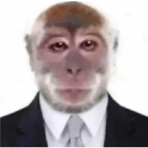 M o n k i 13