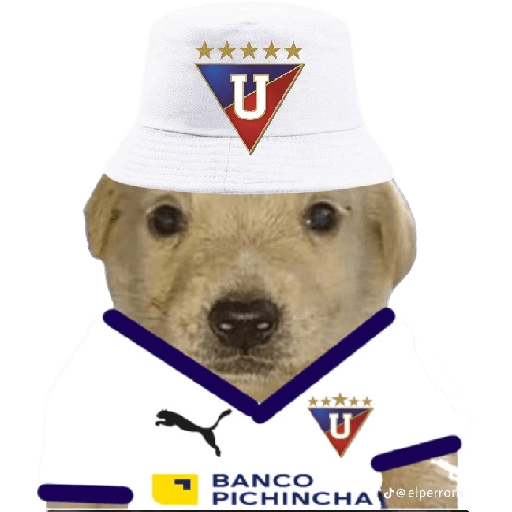 Campeón hay uno solo 15