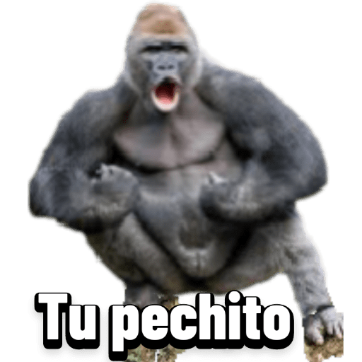Animales graciosos 2