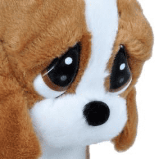 Perrito con lentes 5