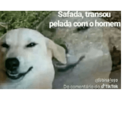 Hahaha 16