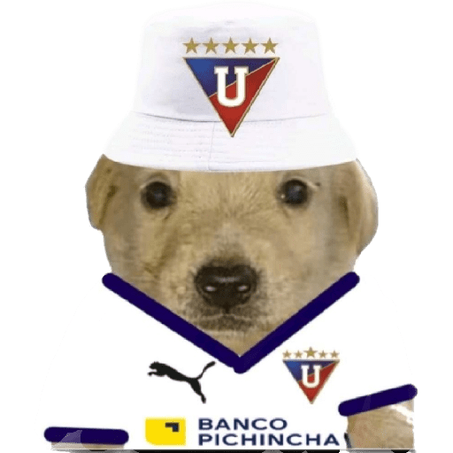 Campeón hay uno solo 14