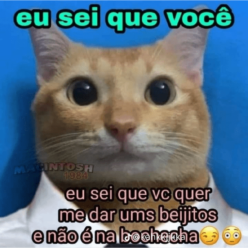 Kiko 10