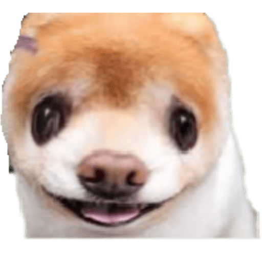 Animales graciosos 7