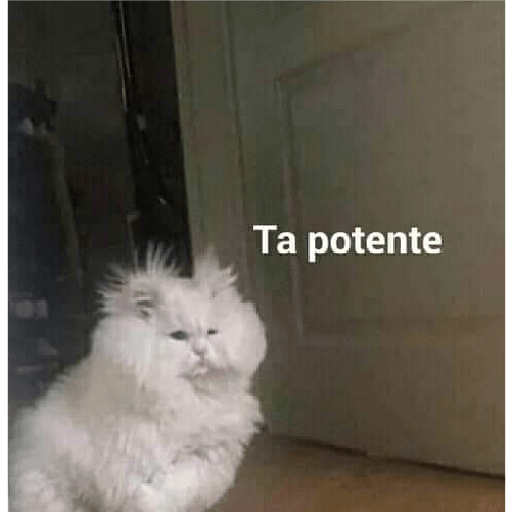 Vitorrrrr 26