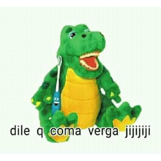 Memes 24