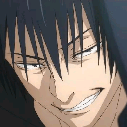 Toji Fushiguro 30