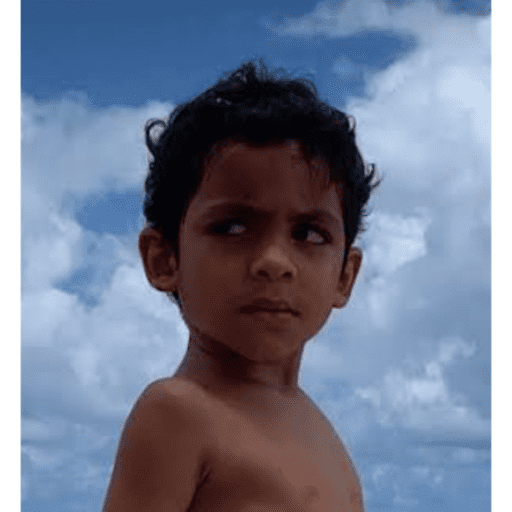 Novos 4
