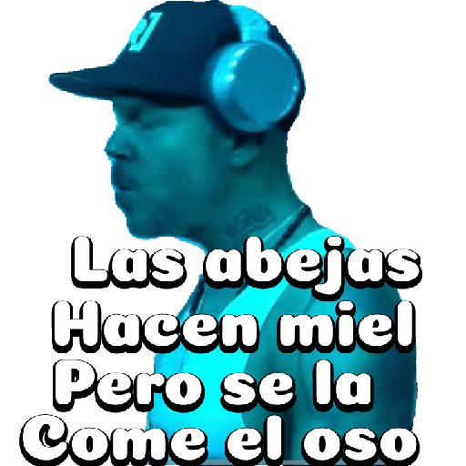 Residente (Calle13) 🎤😵 13