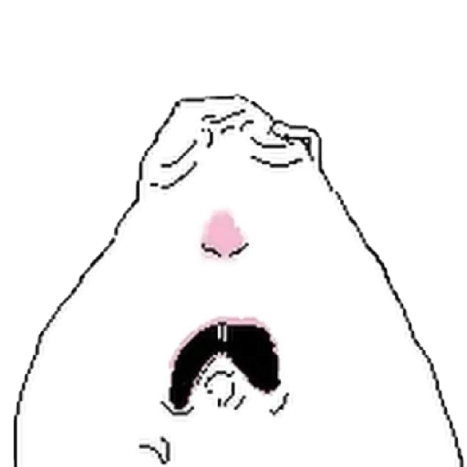 XHamster 17