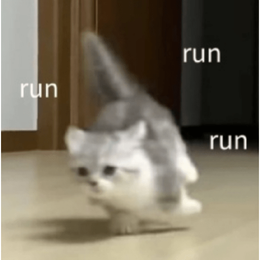 Shook and scared cats 2