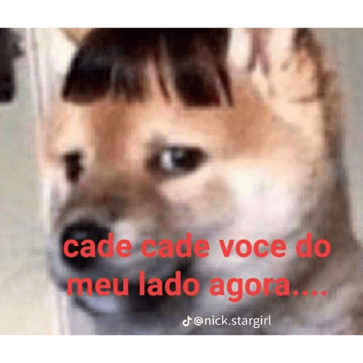 Kiko 7