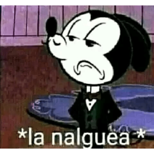 Memes 28