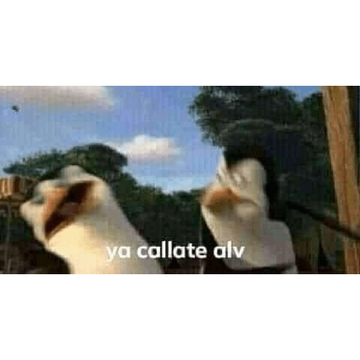 Memes 29