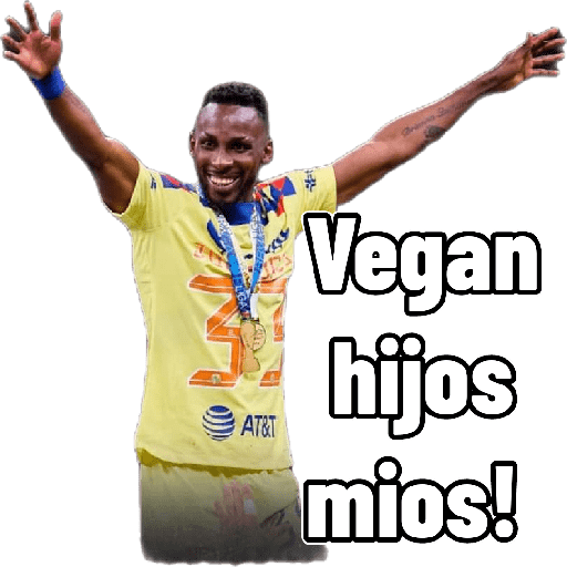 América  13