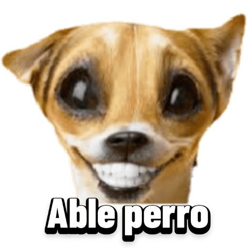 Animales graciosos 8