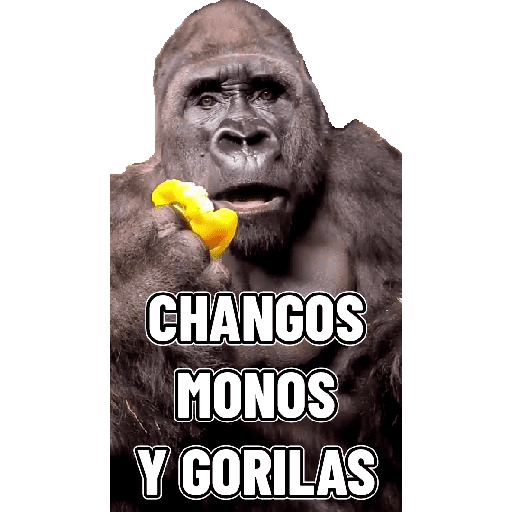 Animales Mensos 2.0 2