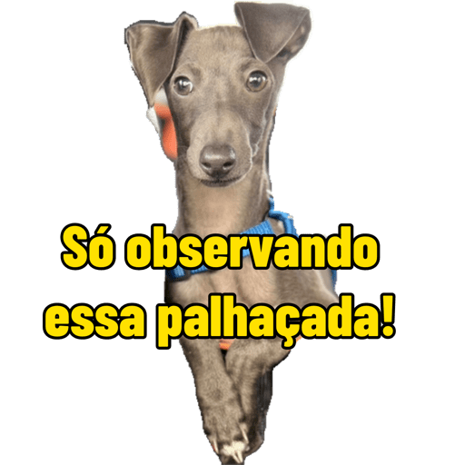 Joao 9