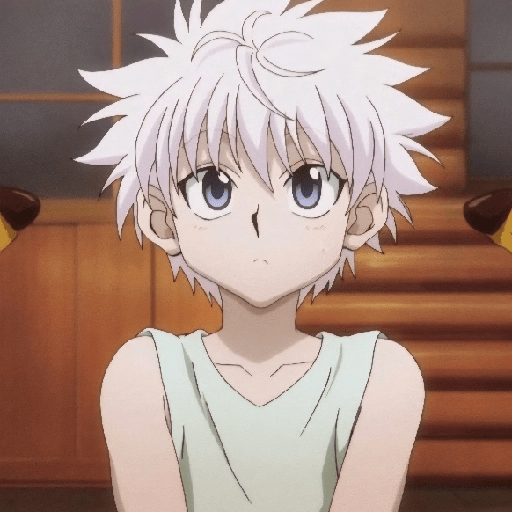 🤍✨️KILLUA ZOLDYCK MOOD✨️🤍 17