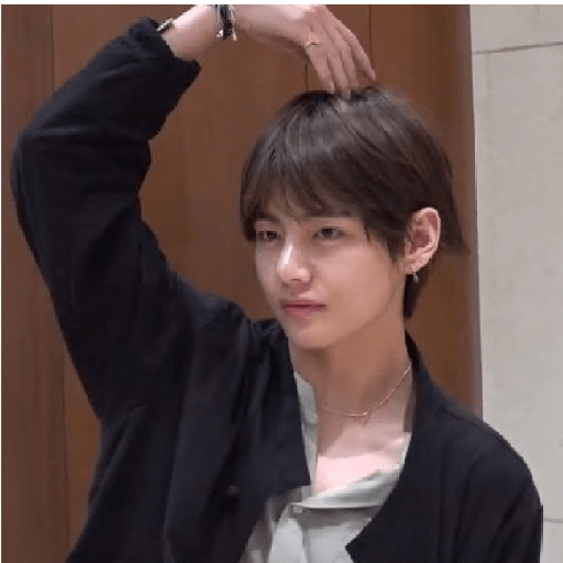 BTS 12