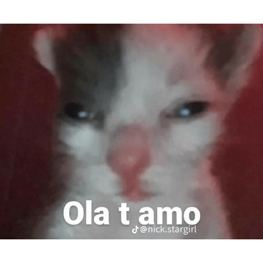 Kiko 8
