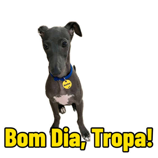 Joao 8