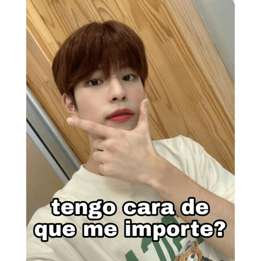 Stray kids.29 6