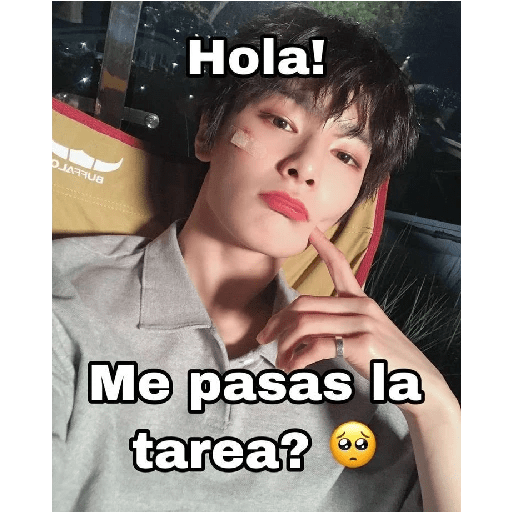 Stray kids  5