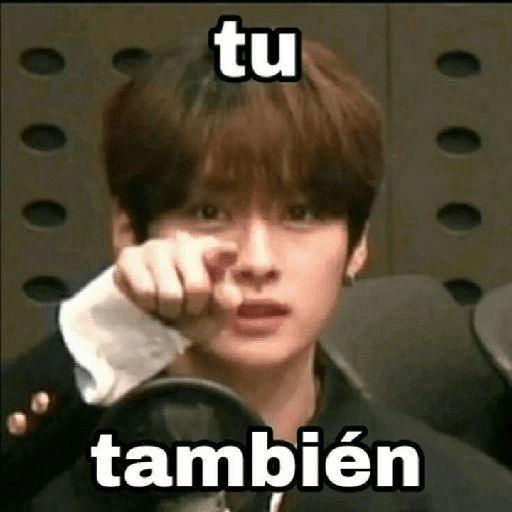 Stray kids  1