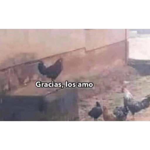 Vitorrrrr 22