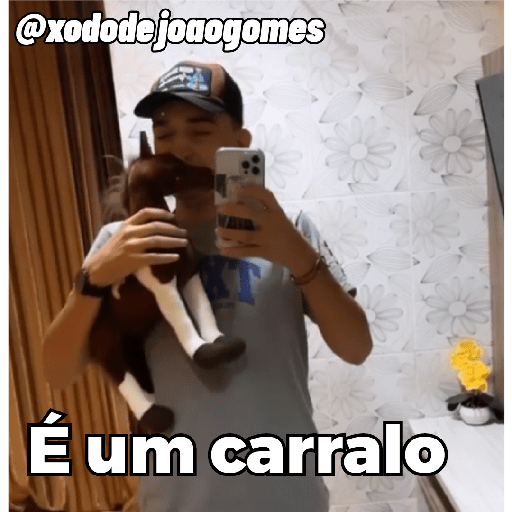 João Gomes com carinho Poli 27
