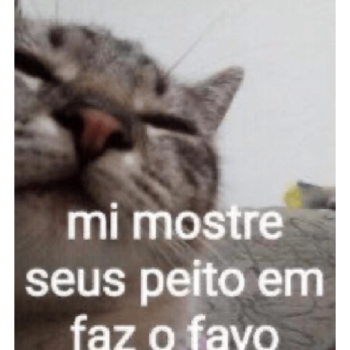 Memes#3 14