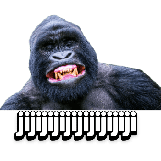 Animales graciosos 1
