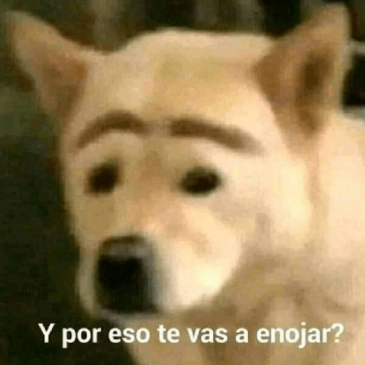 Animales graciosos 13