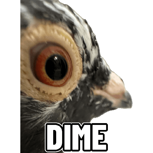 Animales Mensos 2.0 4