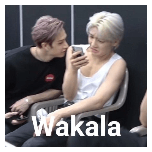 Stray kids  3