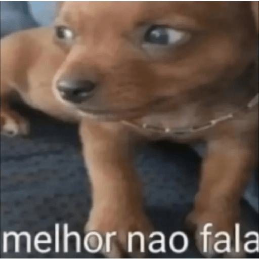 Arrocha 1