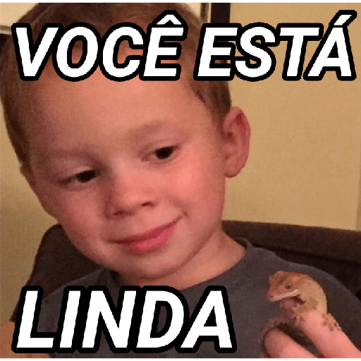 CASAL 10/10 7