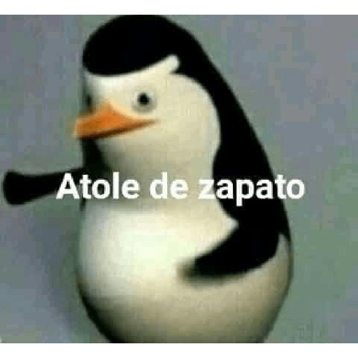 Random :v 7