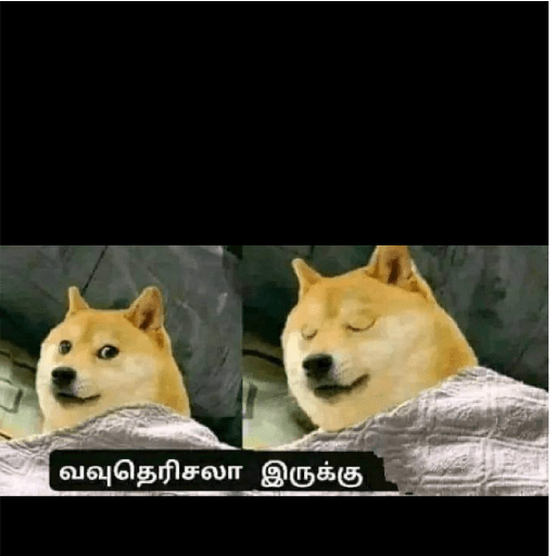 Funny 1 7