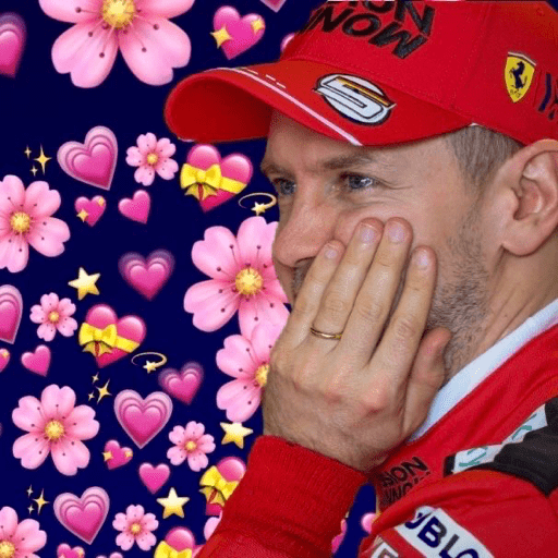 Formula 1 love 8