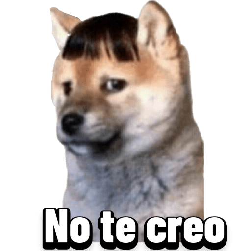 Animales graciosos 4