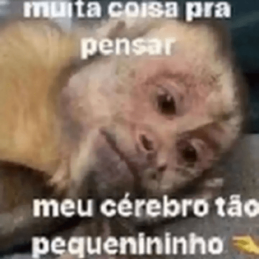 M o n k i 16