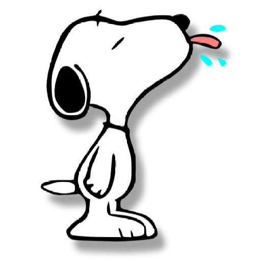 Snoopy 29