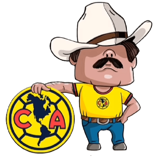 América  24